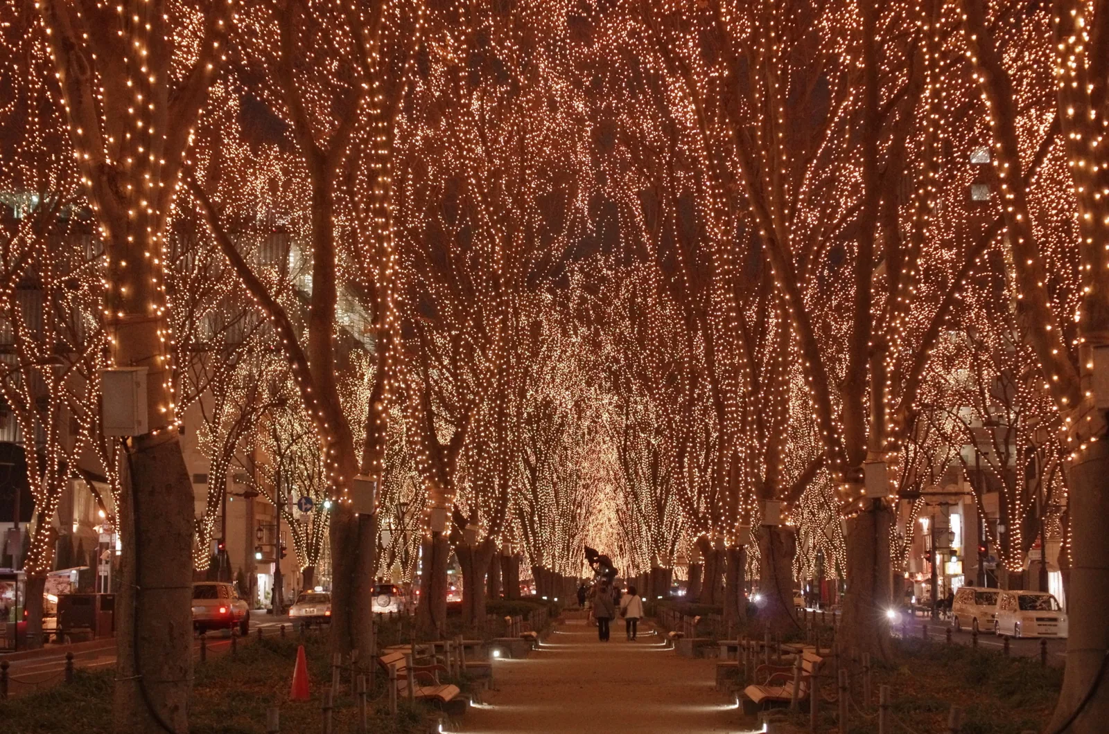 仙台の定禅寺通を歩きたくなる夜の並木道の写真